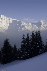 Neige, Sapins et Mont Blanc