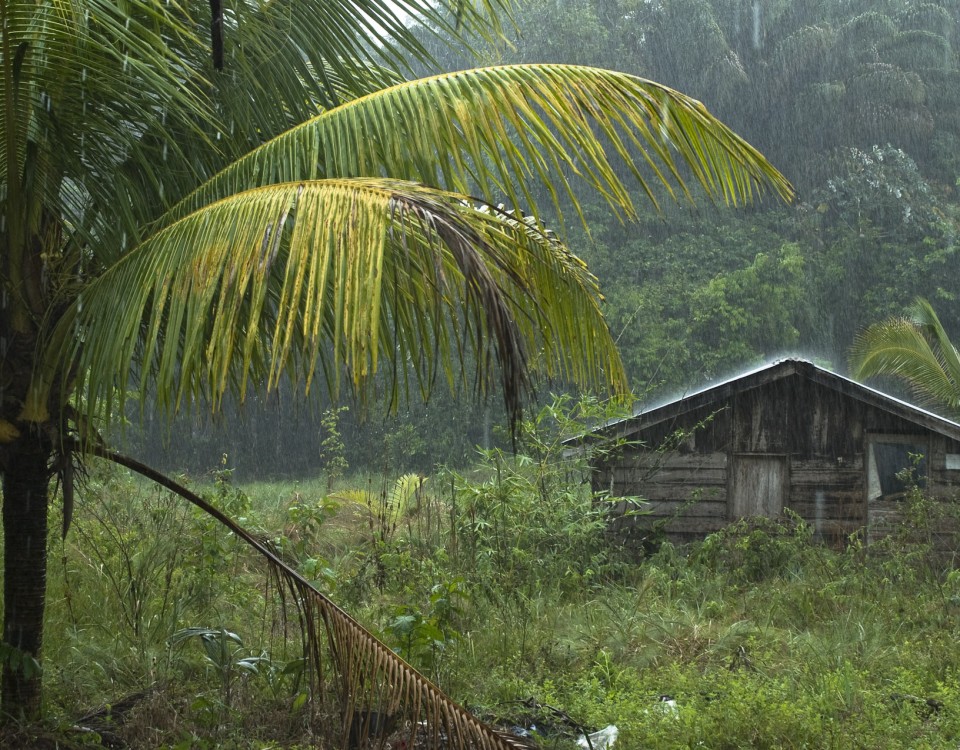 Pluie sur le Maroni, Guyane Française. 2