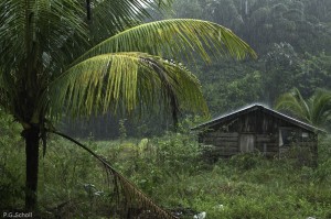 Pluie sur le Maroni, Guyane Française. 2