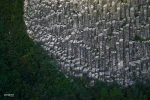 Orgues basaltique et forêt, Roche Sanadoire, Auvergne, France.